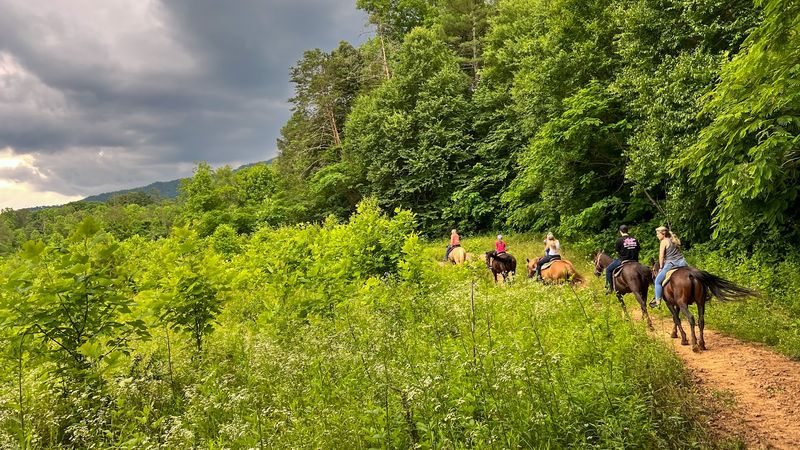 Friendly Family-Run Operation With Genuine Mountain Hospitality Friendly Family-Run Operation With Genuine Mountain Hospitality