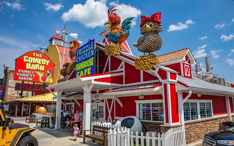 Frizzle Chicken Cafe - Pigeon Forge