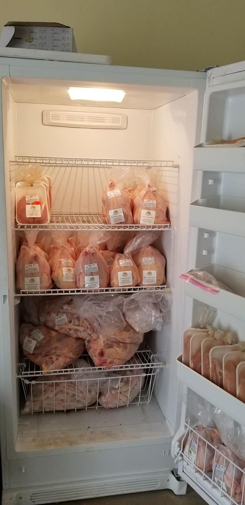 From Pasture to Freezer: How Taylor Family Farm Does It