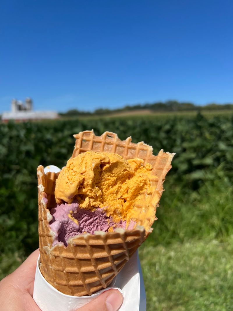 From the Farm's Own Cows to Your Cone