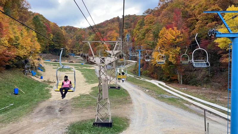 Wildlife Habitat Comes Free With Your Ticket