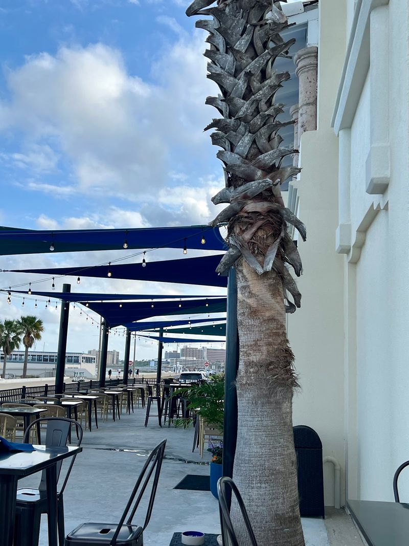 Gallery 41 Water's Edge Grill (Corpus Christi) Gallery 41 Water's Edge Grill (Corpus Christi)