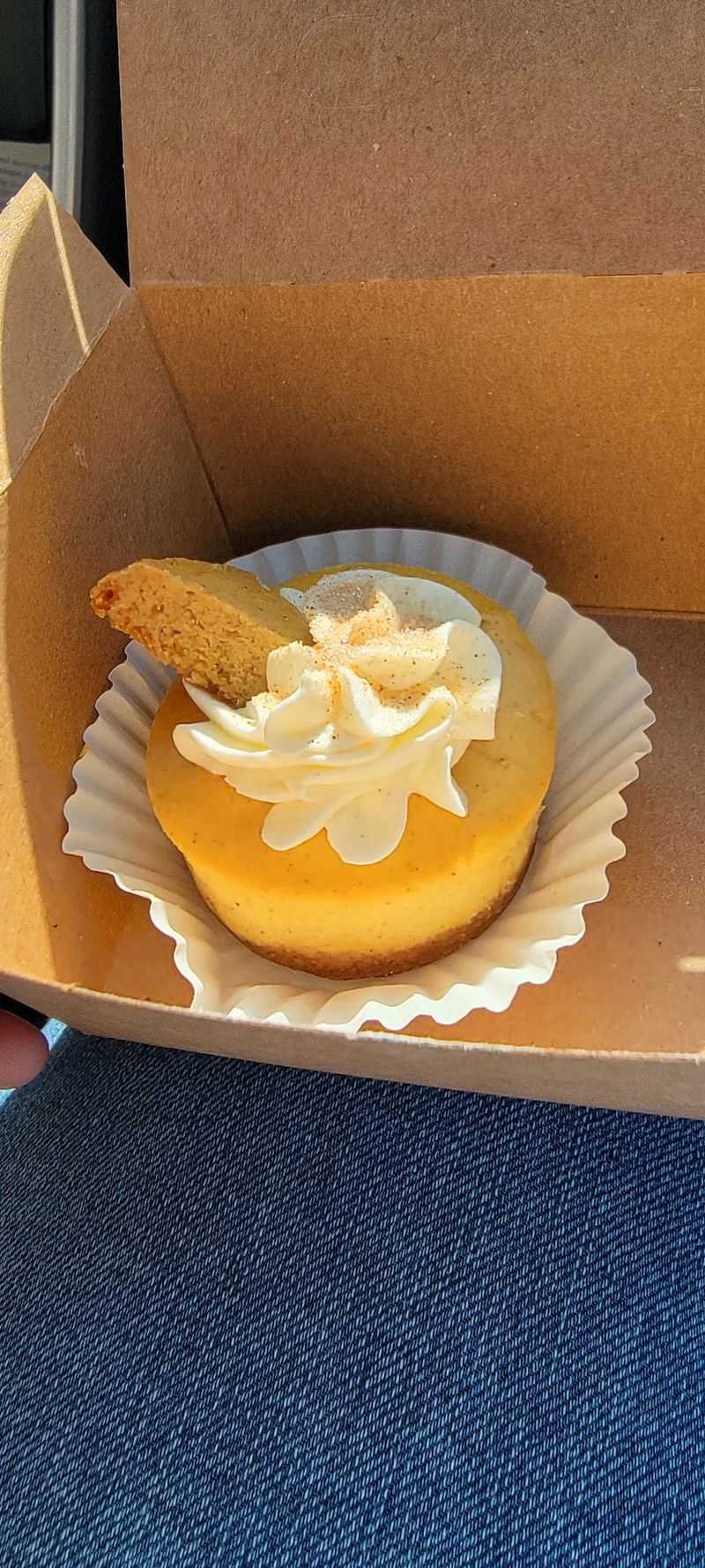 German Cheesecake That Made Locals Forget Everything Else German Cheesecake That Made Locals Forget Everything Else