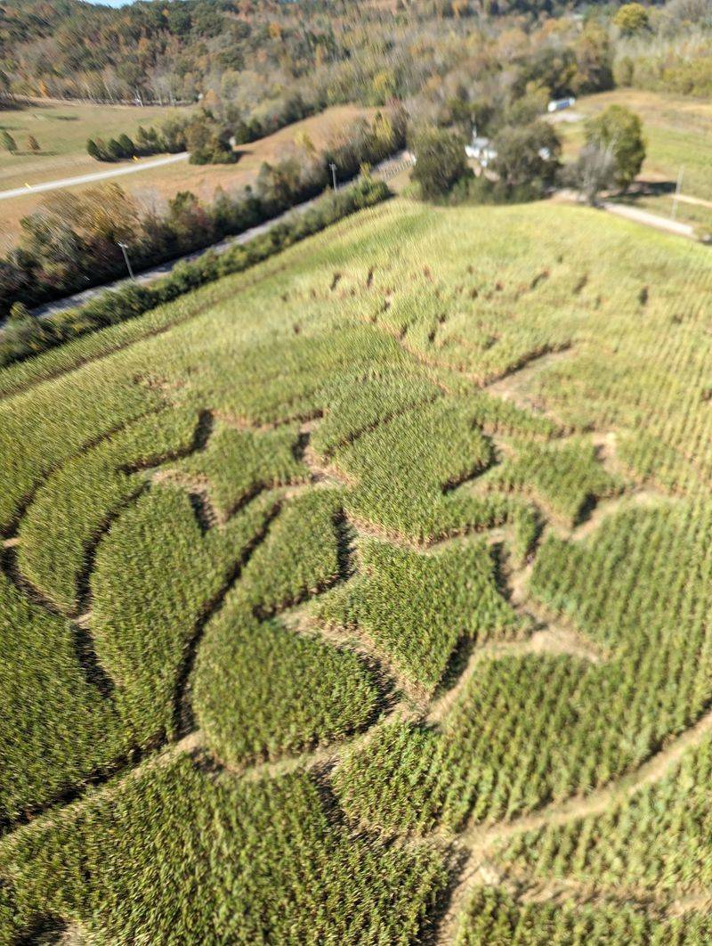 Get Lost in a Giant Corn Maze Get Lost in a Giant Corn Maze