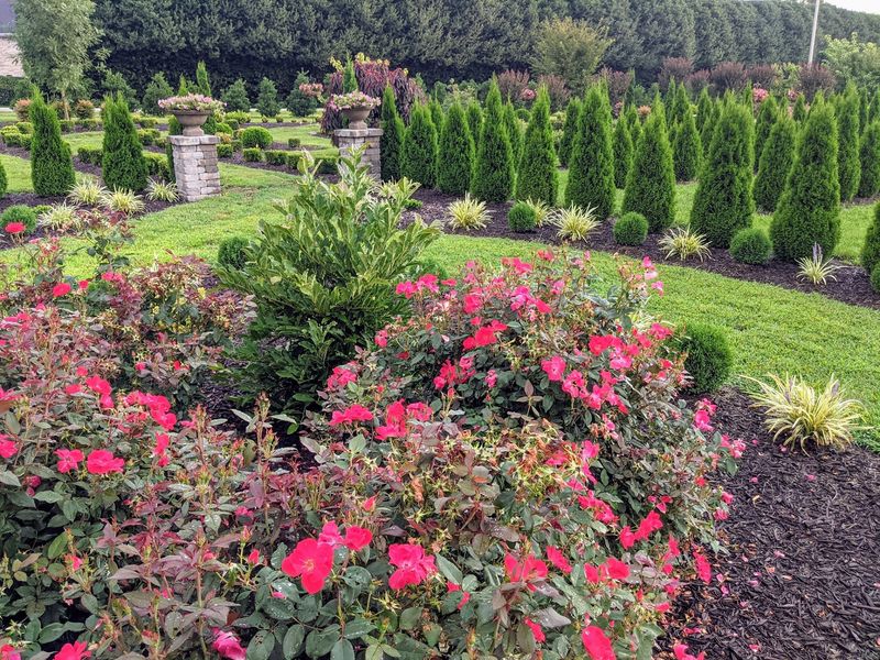 Get Lost in the Garden's Charming Mazes Get Lost in the Garden's Charming Mazes