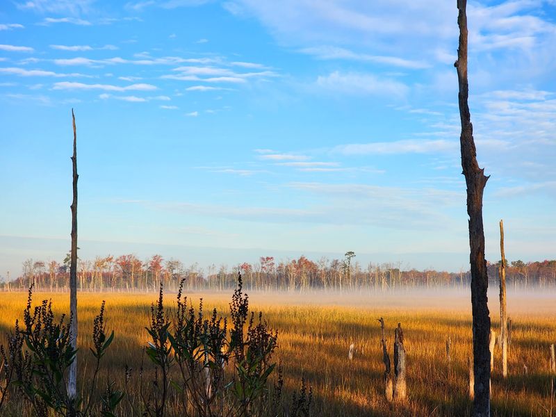 Glades Wildlife Refuge - Newport Glades Wildlife Refuge - Newport