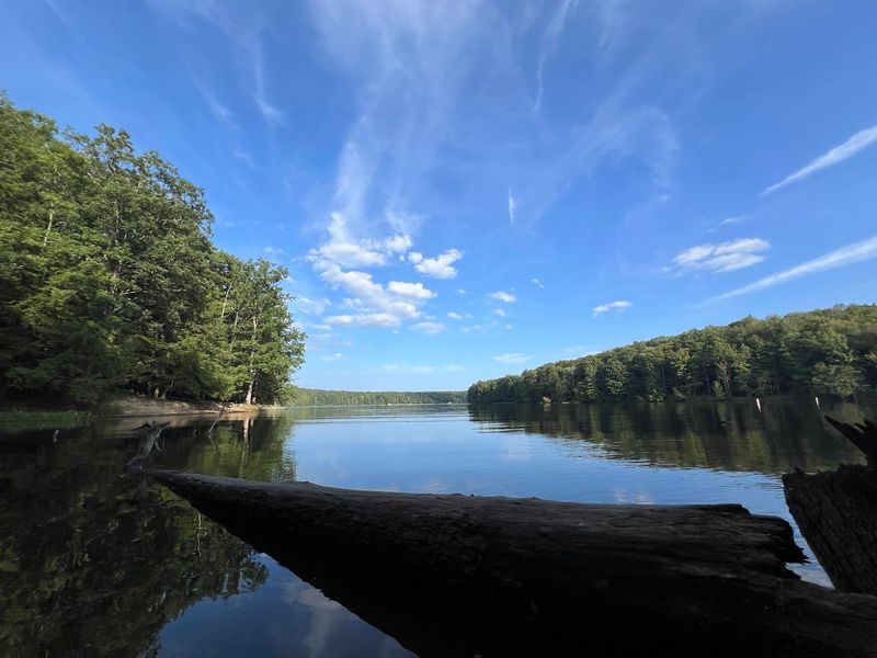 Glendale Lake Steals The Show