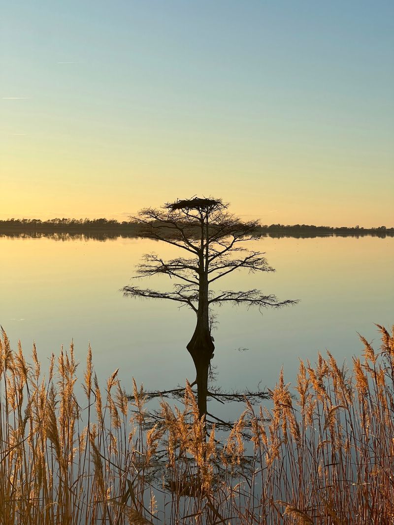 Golden Hour Makes The Refuge Glow Golden Hour Makes The Refuge Glow