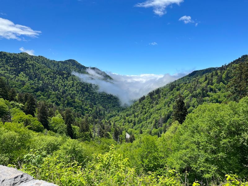Great Smoky Mountains National Park - Gatlinburg/Townsend Area