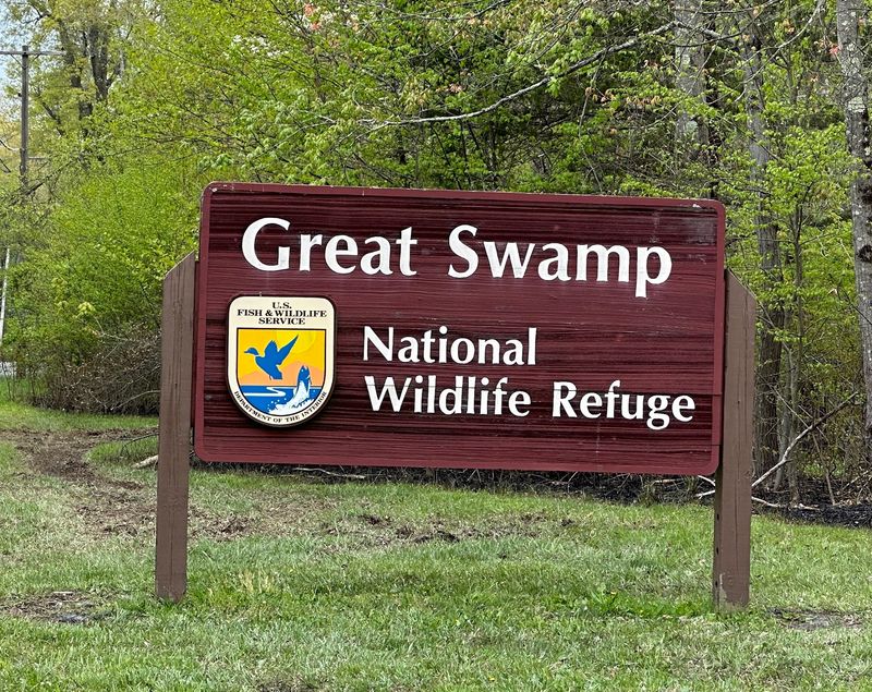 Great Swamp National Wildlife Refuge - Basking Ridge Great Swamp National Wildlife Refuge - Basking Ridge