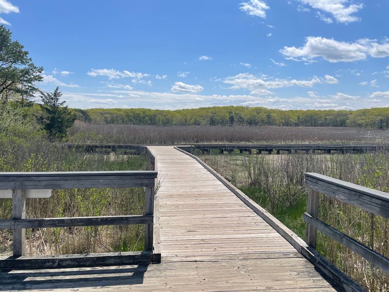 Green Trail - Cheesequake State Park, Old Bridge Green Trail - Cheesequake State Park, Old Bridge