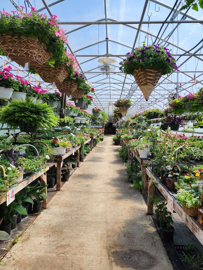 Greenhouse Treasures in Spring Greenhouse Treasures in Spring