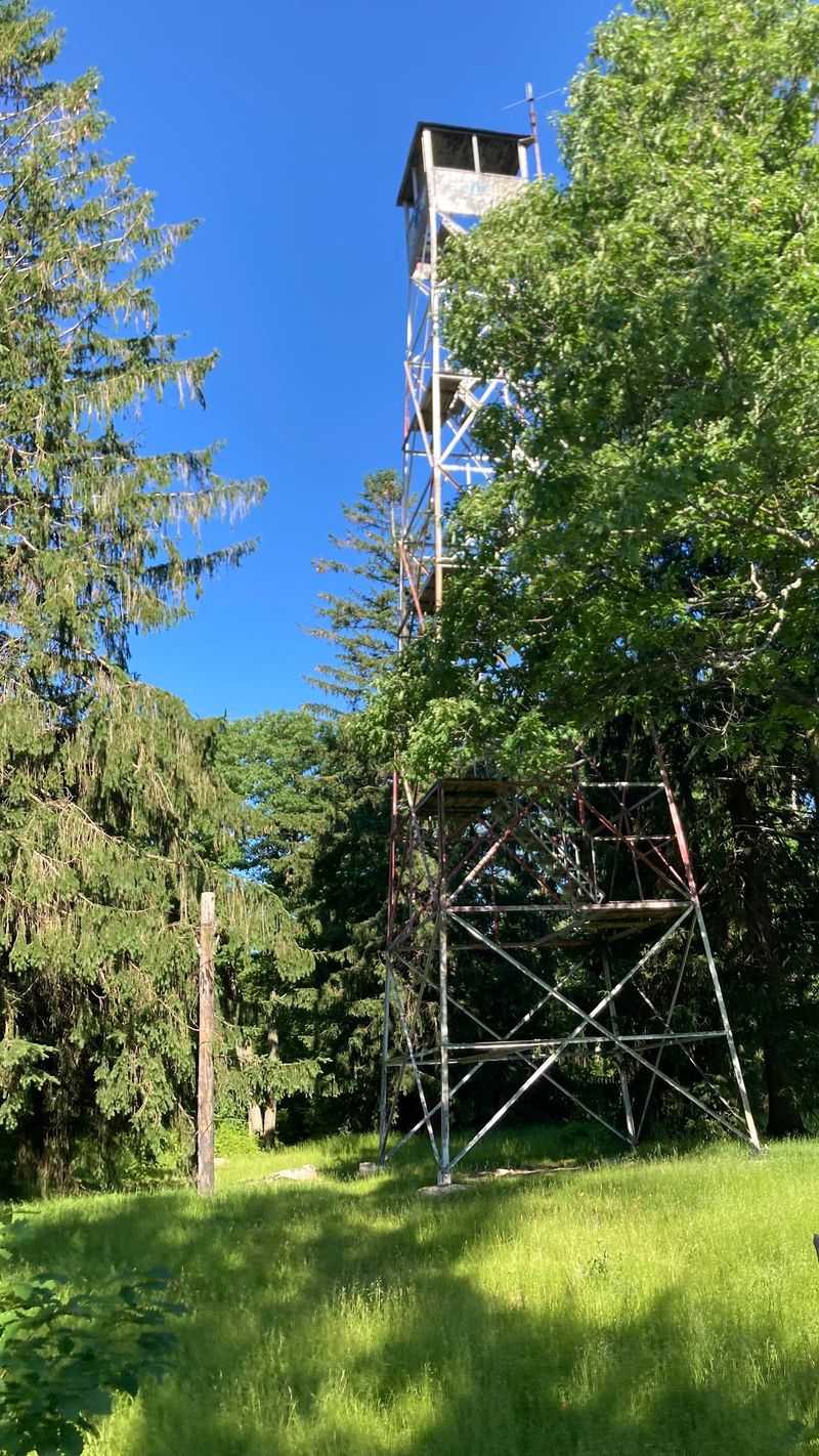Greenwood Fire Tower Trail, Huntingdon