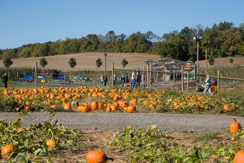 Grim’s Orchard & Family Farms - Breinigsville