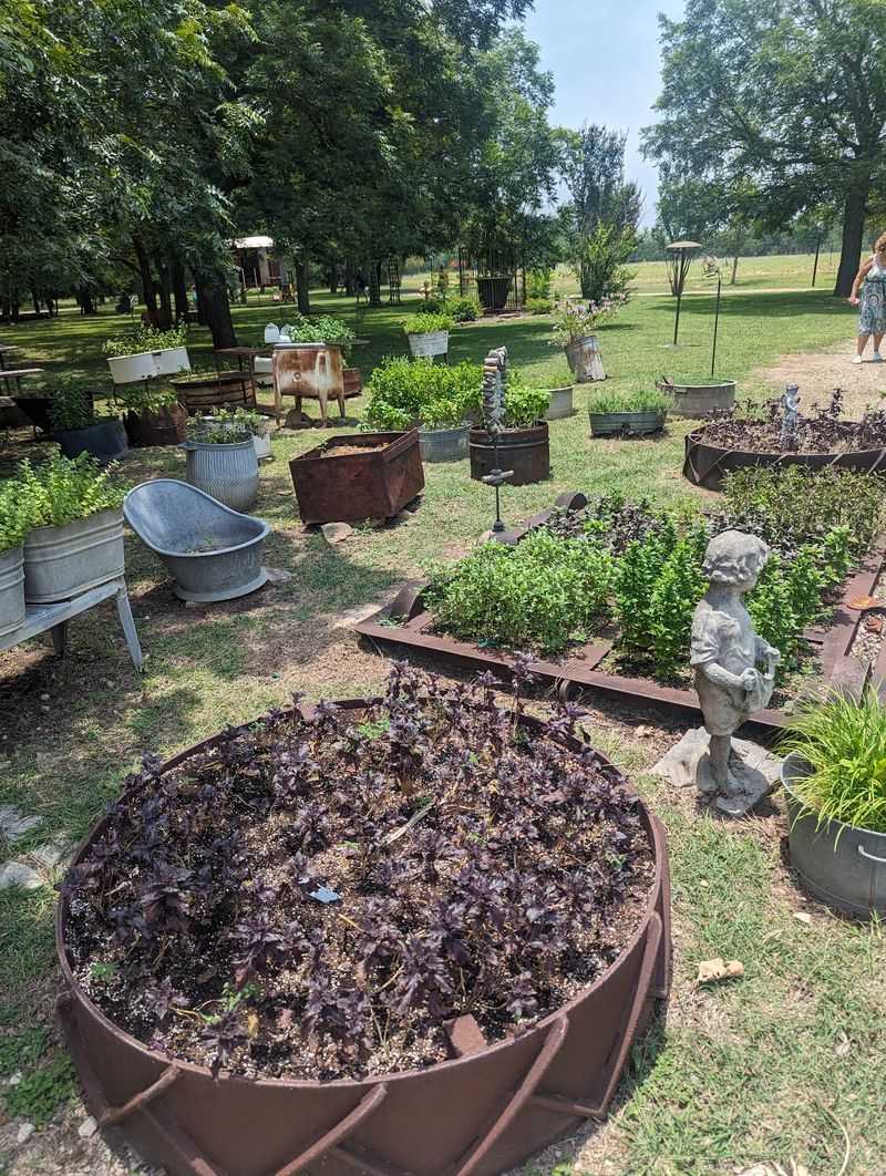 Grounds Designed for Wandering and Wonder