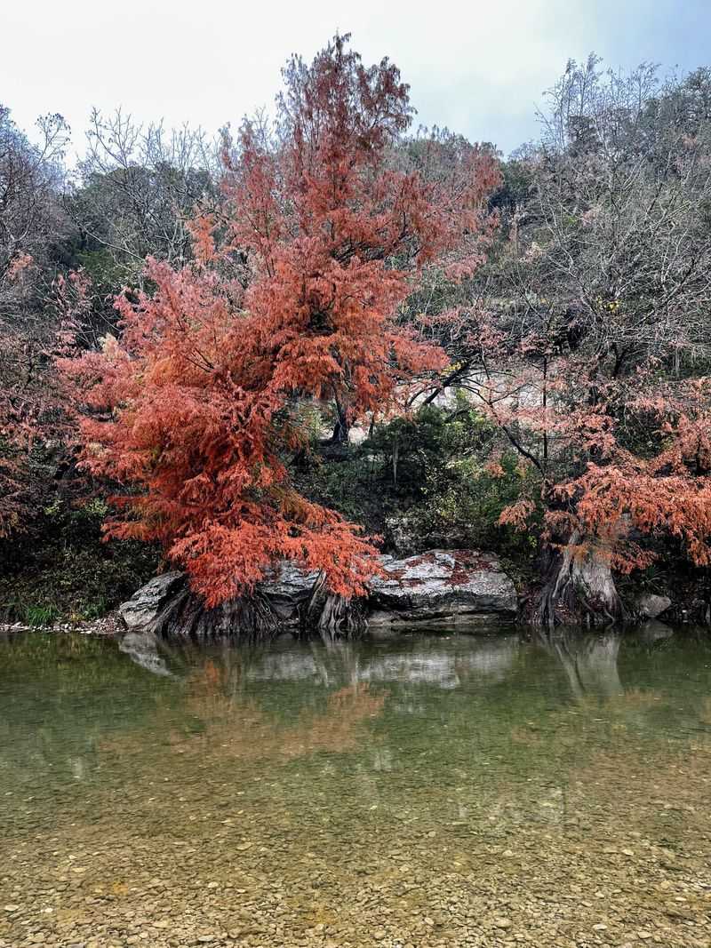 Guadalupe River State Park (Spring Branch) Guadalupe River State Park (Spring Branch)