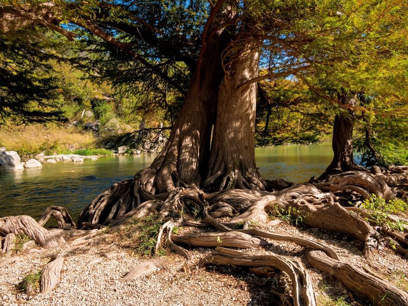 Guadalupe River State Park (Spring Branch) Guadalupe River State Park (Spring Branch)