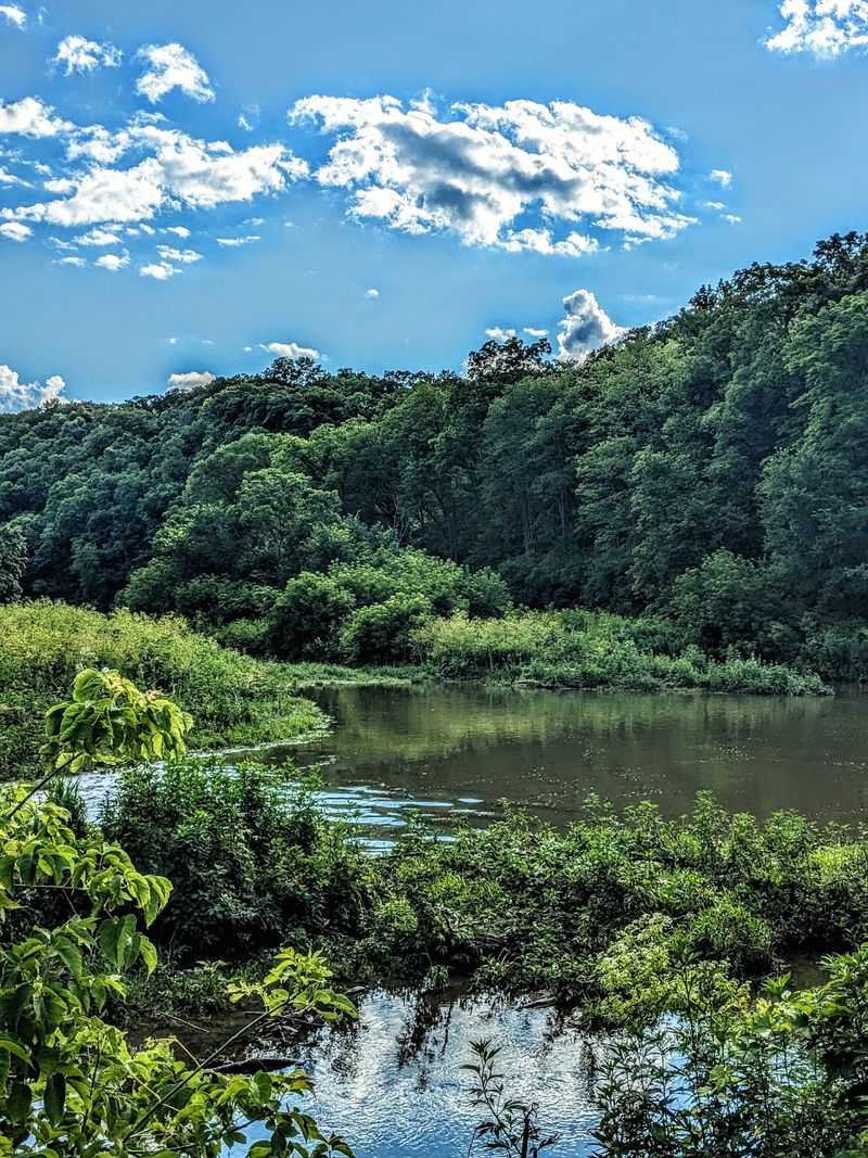 Why This Park Earns a Spot on an Illinois Travel List Why This Park Earns a Spot on an Illinois Travel List