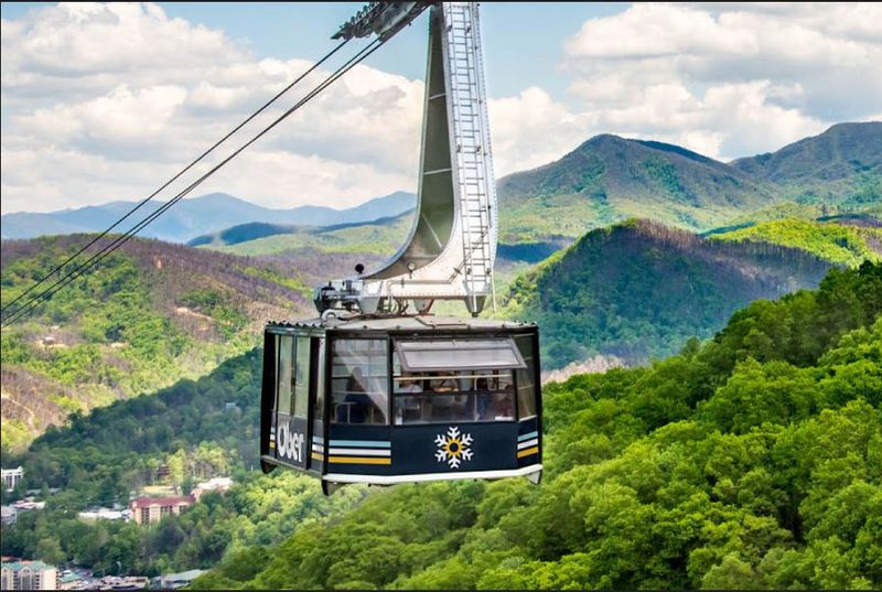 The Ride Itself Is Half the Adventure