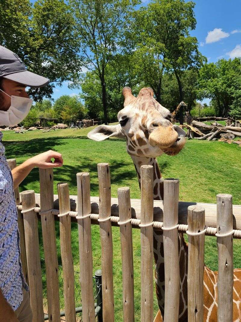 Hands-On Petting Zoo Experience Hands-On Petting Zoo Experience