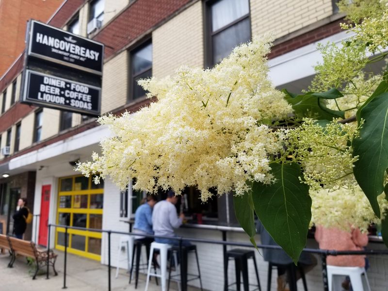 HangOverEasy, Columbus