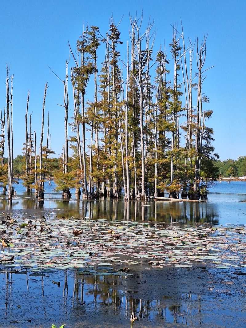 Hatchie National Wildlife Refuge, Stanton Hatchie National Wildlife Refuge, Stanton