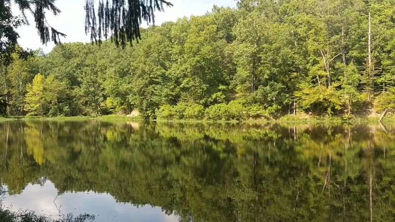 Brown County State Park (Nashville)