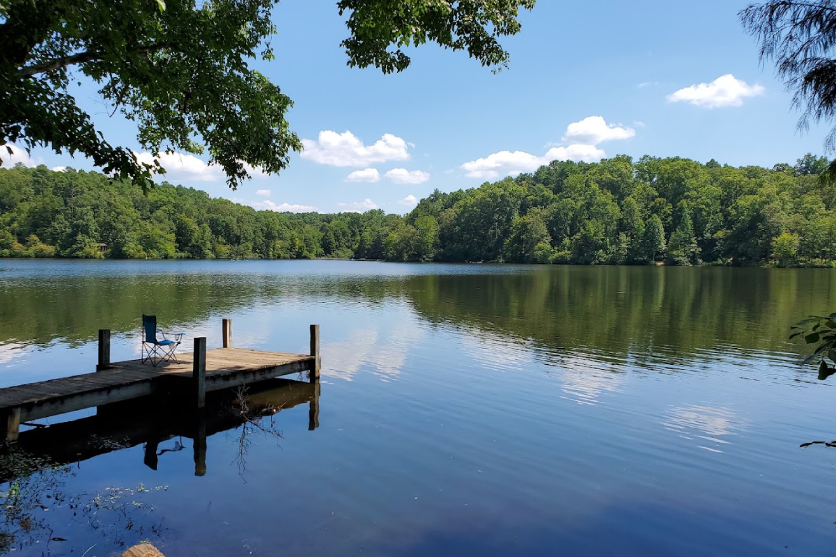 Heading Outdoors? Watch for Ticks in These 9 Tennessee Areas