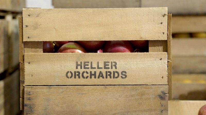 Heller Orchards - Wapwallopen