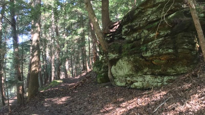 Hemlock Trail, Clear Creek Metro Park