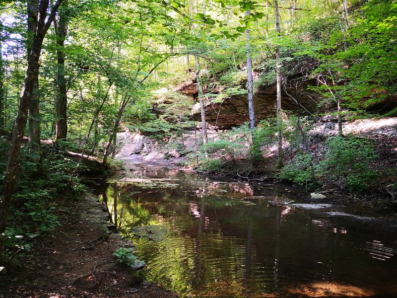 Henry Hollow Loop Trail at Beaman Park