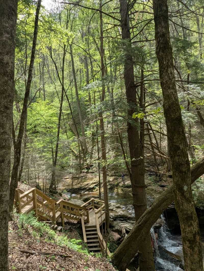 Hike the Mountain Trails at Frozen Head State Park Hike the Mountain Trails at Frozen Head State Park