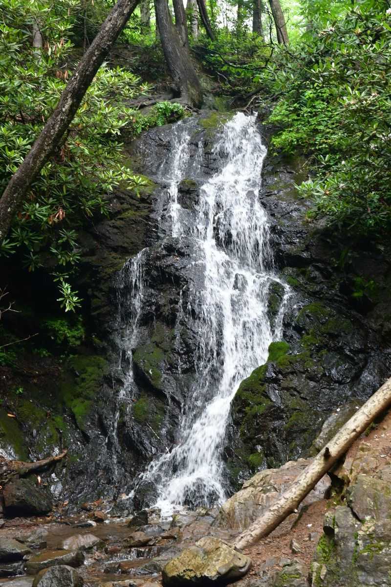 Hike to Cataract Falls