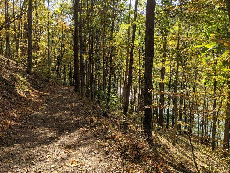 Hiking Trails Offer Hills, Views, And Forest Time Hiking Trails Offer Hills, Views, And Forest Time