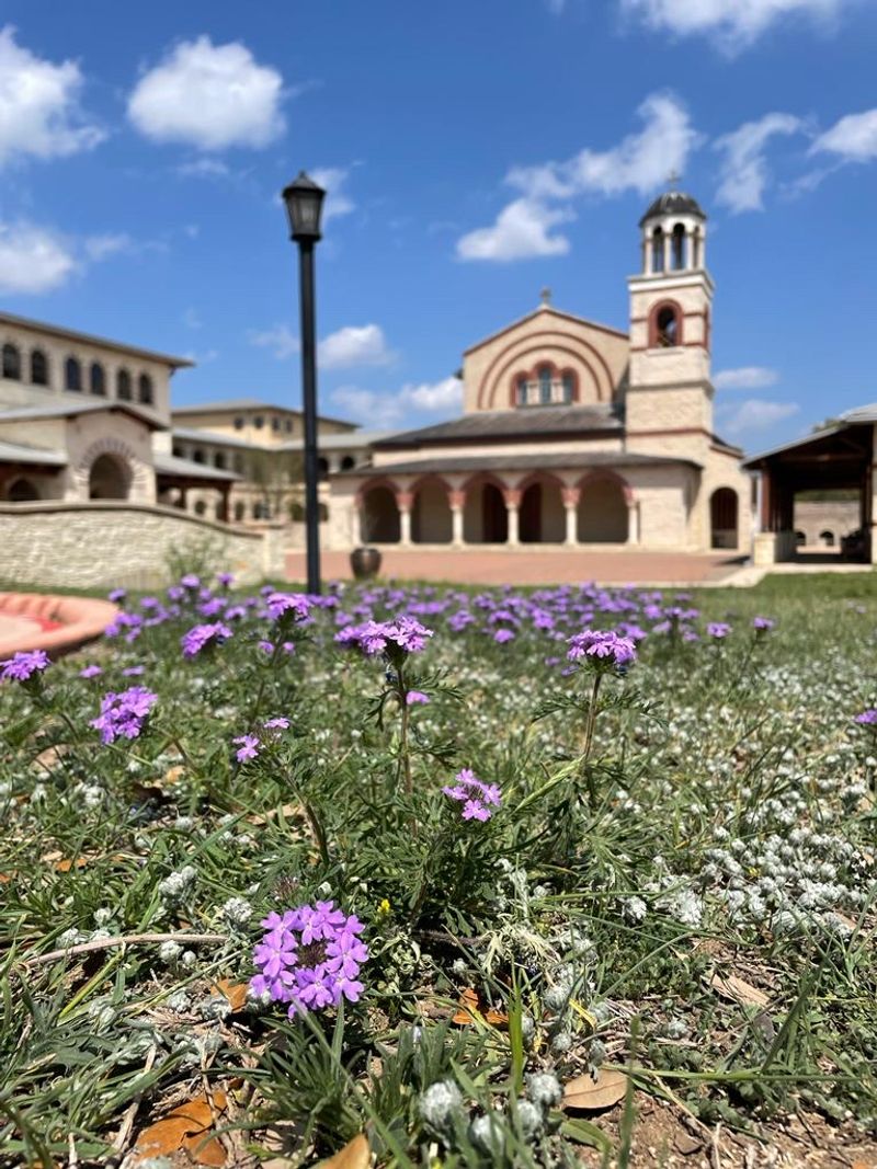 Hill Country Setting That Amplifies the Peace Hill Country Setting That Amplifies the Peace