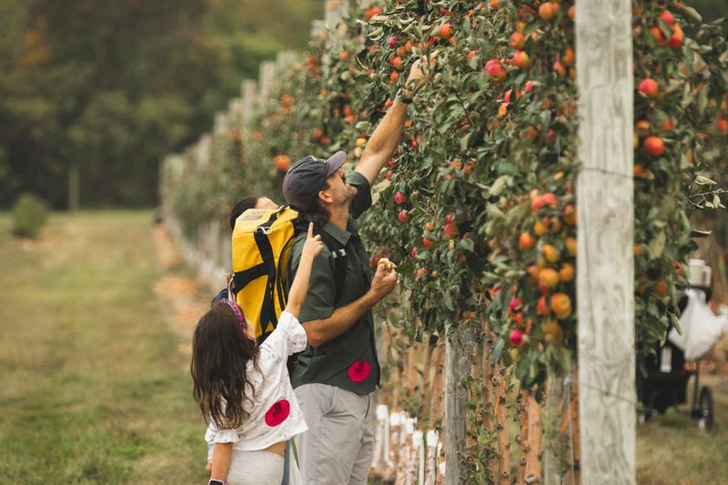 Hillcrest Orchards – Amherst