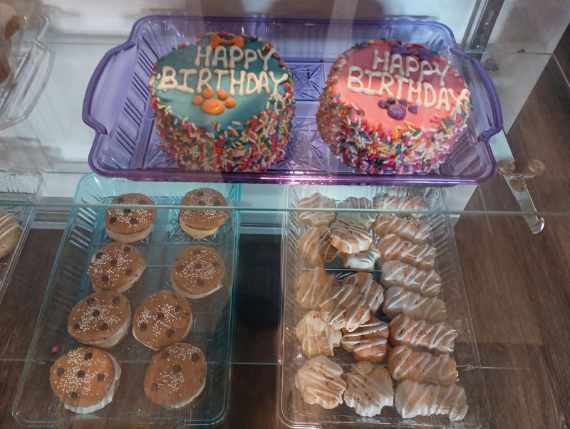 Homemade Treats and Birthday Cakes Keep Tails Wagging Homemade Treats and Birthday Cakes Keep Tails Wagging