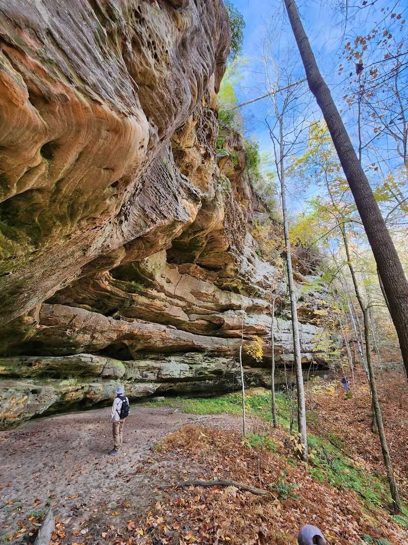 Honey Creek Loop, Oneida