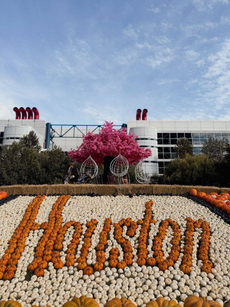 Houston Pumpkin Festival at Discovery Green Houston Pumpkin Festival at Discovery Green