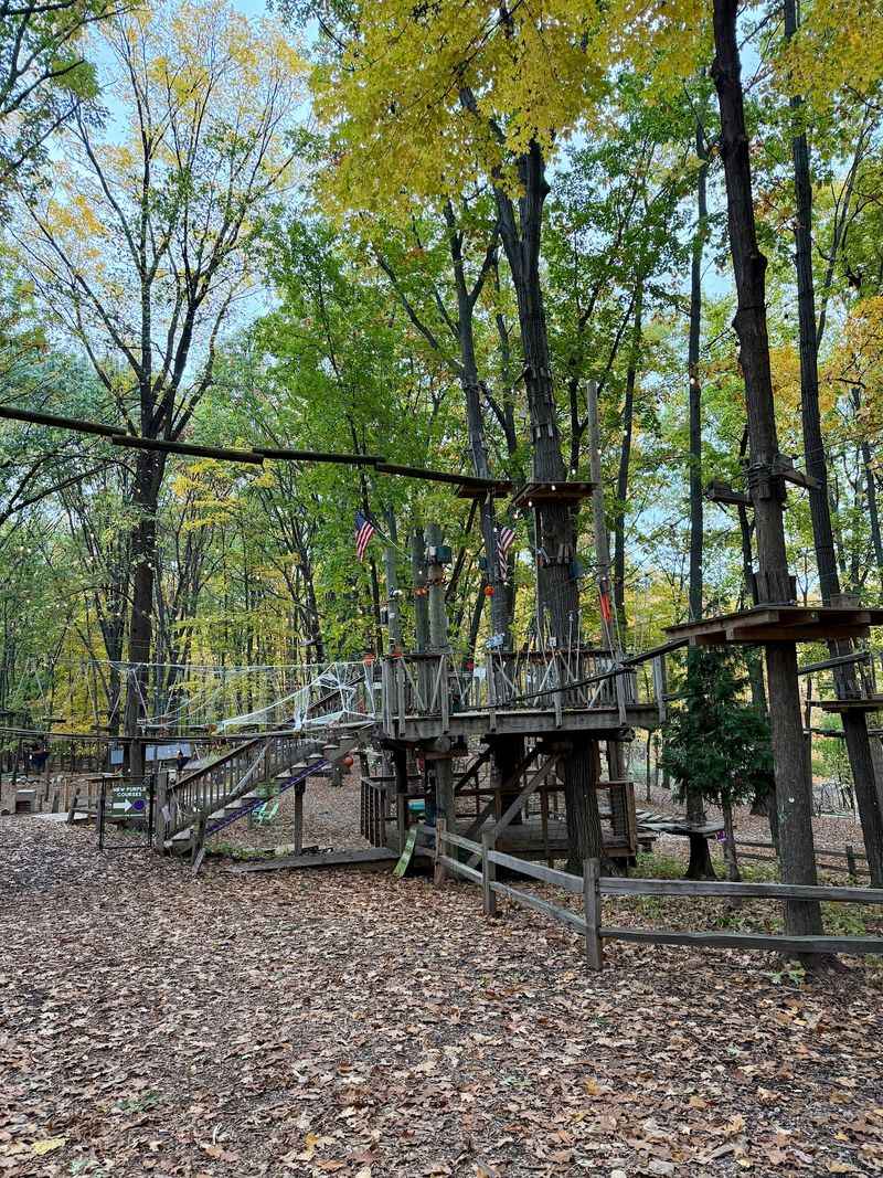 How to Plan a Smooth Visit to West Bloomfield's Tree-Top Playground