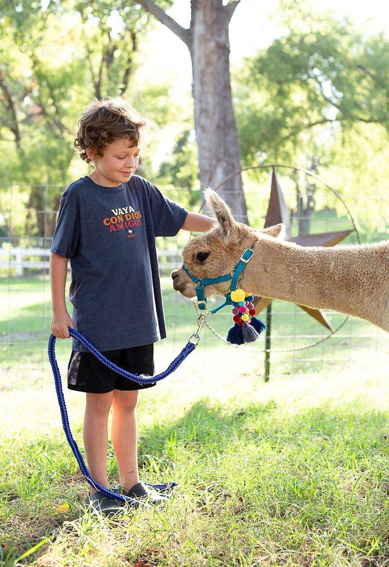 Huddin Homestead Fun Farm (Rockwall)