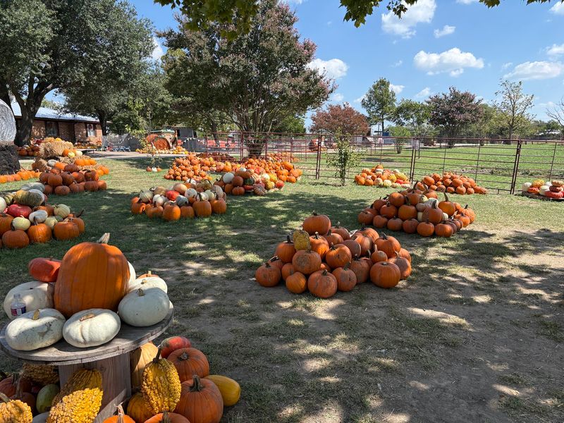 Huddin Homestead Fun Farm (Rockwall)