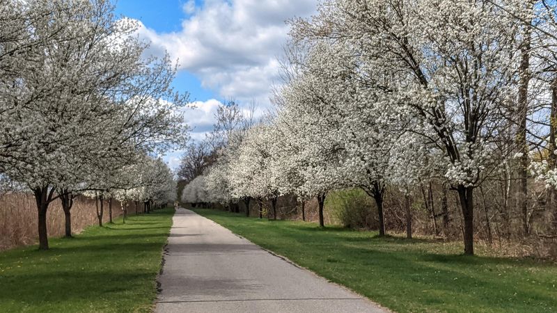 Huron Valley Trail - South Lyon Huron Valley Trail - South Lyon