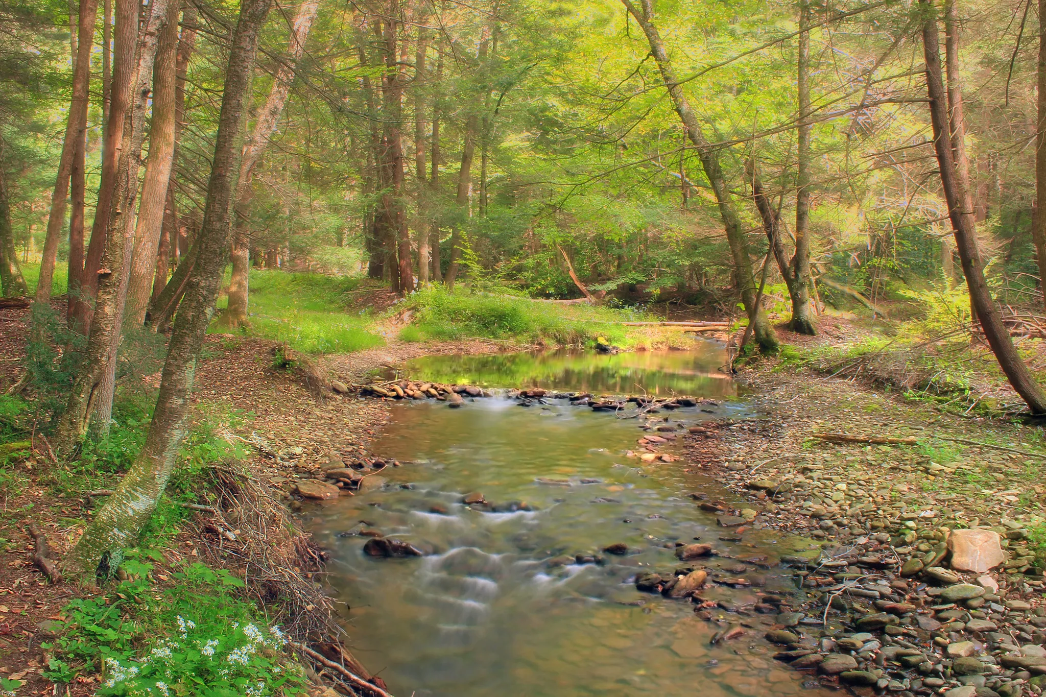 Hyner Run State Park, North-Central Pennsylvania