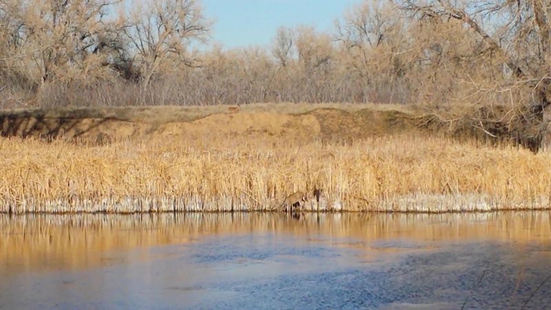 Trails, Lakes, and Room to Stretch Your Legs Trails, Lakes, and Room to Stretch Your Legs