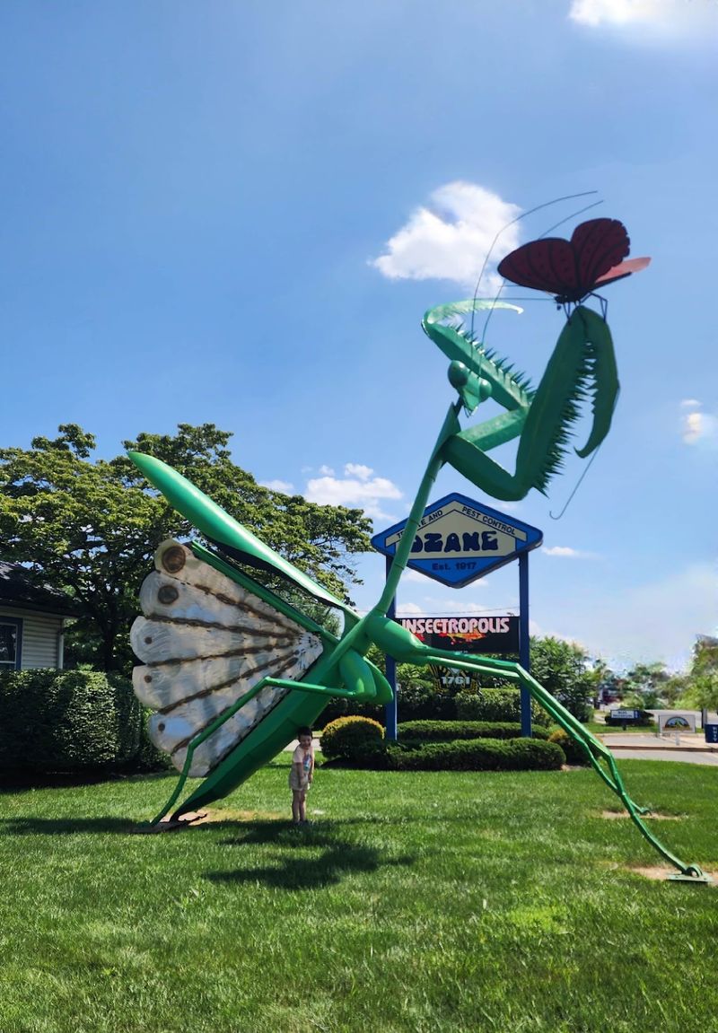 Insectropolis - Toms River Insectropolis - Toms River