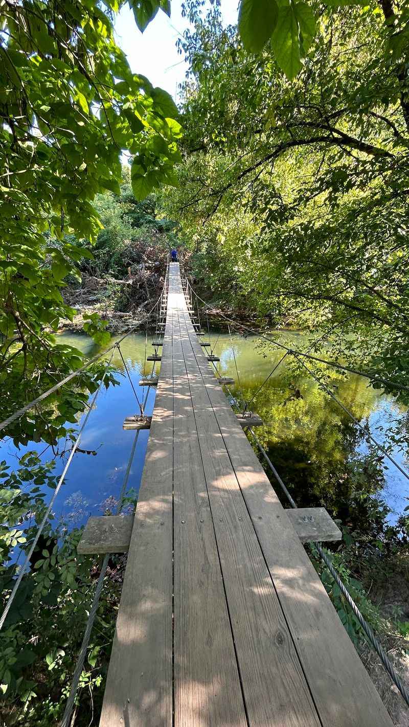 Institute Woods Swinging Bridge Trail