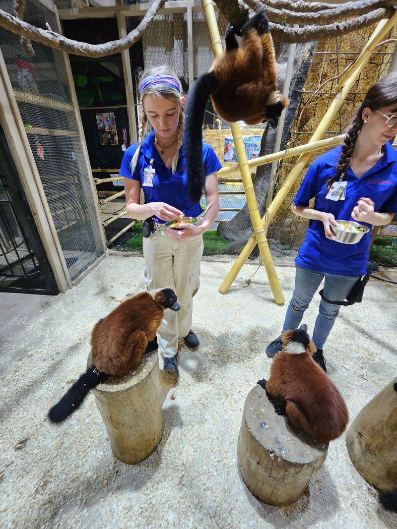 Interactive Animal Encounters That Beat Any Ride Interactive Animal Encounters That Beat Any Ride
