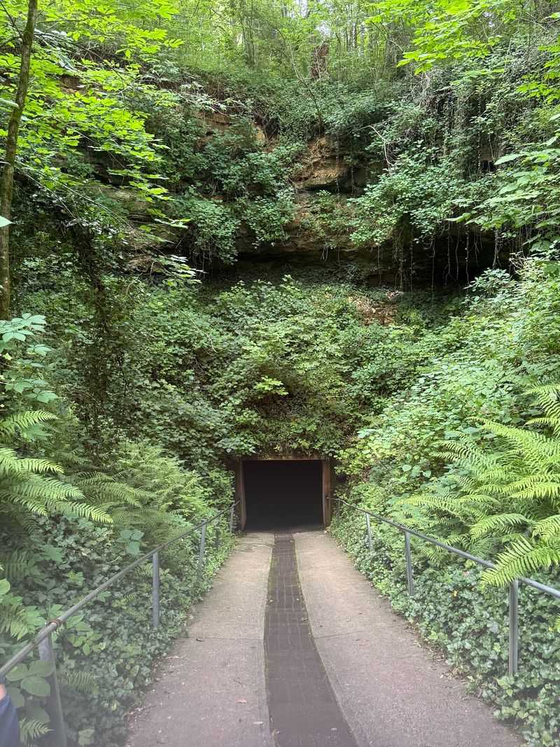 Bluespring Caverns Park (Bedford)