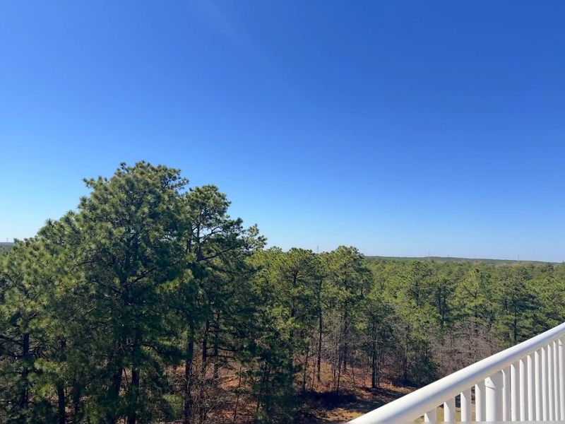 Jakes Branch County Park Opens the Door to the Pine Barrens